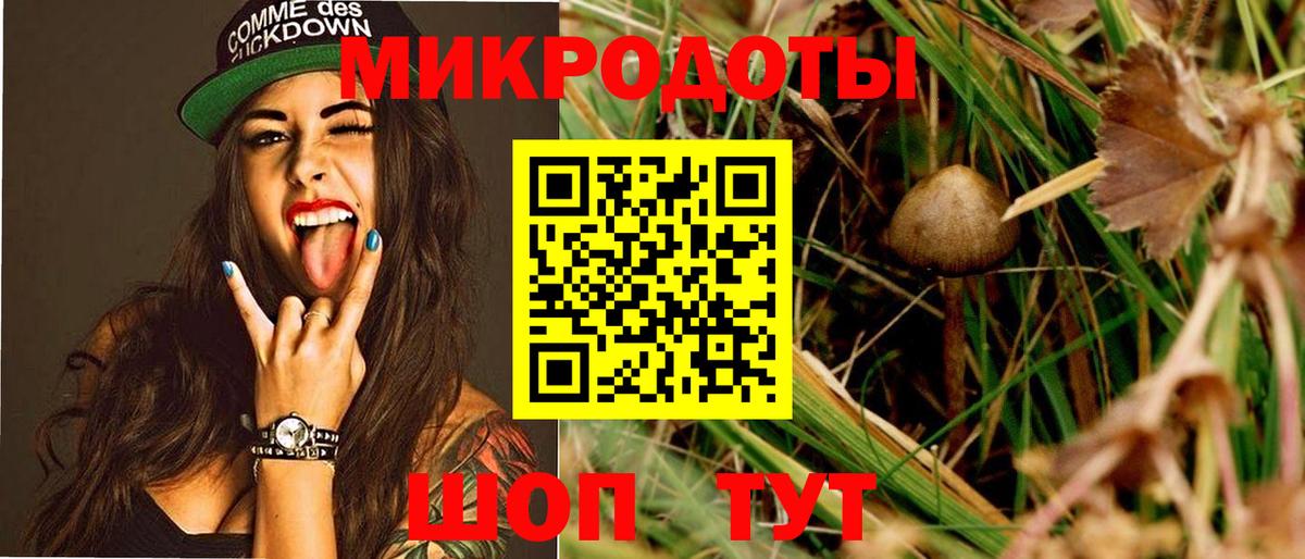 Оренбург  Псилоцибиновые грибы Psilocybine cubensis  Вход с VPN 